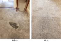 Spotless Carpet Repair Perth image 2